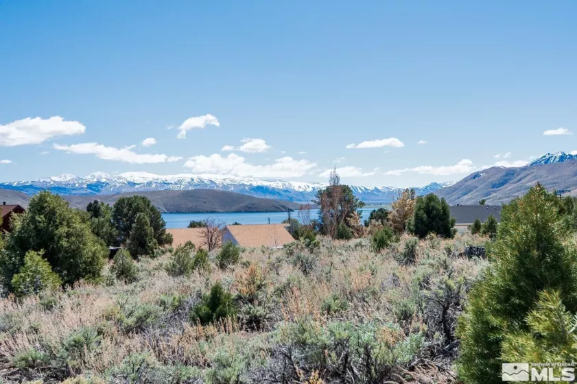 3466 Mark Twain Ave, Gardnerville, Nevada 89410, ,Land,For Sale,Mark Twain Ave,250003017