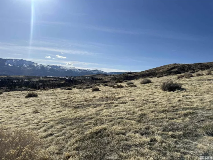 2370 Eagle Bend Trail, Reno, Nevada 89523, ,Land,For Sale,Eagle Bend Trail,250003130