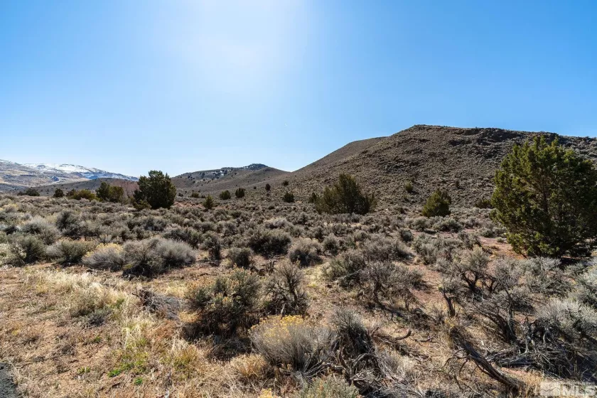 2525 Right Hand Canyon Rd, Reno, Nevada 89510, ,Land,For Sale,Right Hand Canyon Rd,250003134