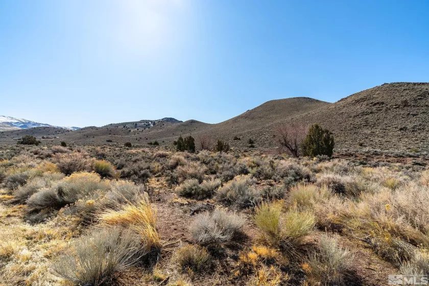 2525 Right Hand Canyon Rd, Reno, Nevada 89510, ,Land,For Sale,Right Hand Canyon Rd,250003134