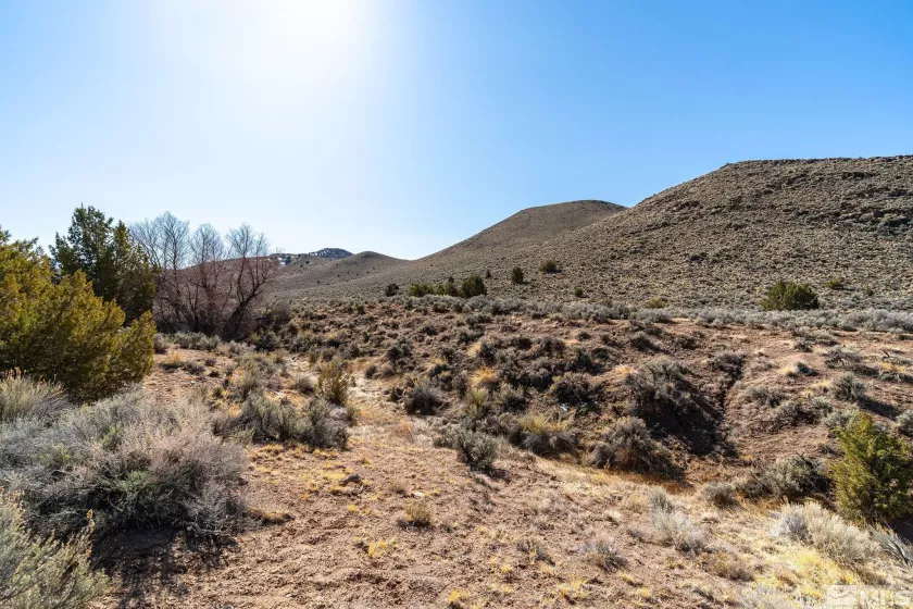 2525 Right Hand Canyon Rd, Reno, Nevada 89510, ,Land,For Sale,Right Hand Canyon Rd,250003134