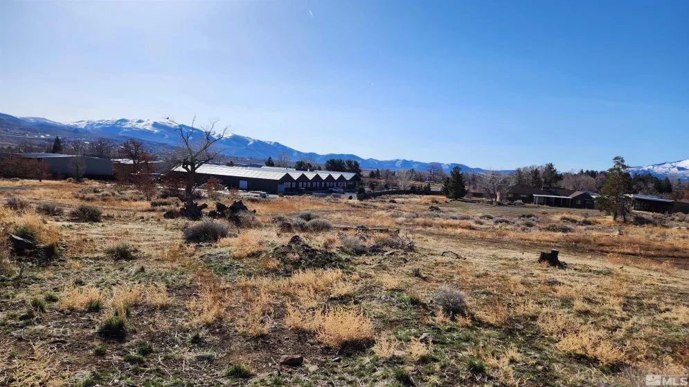 04608053 US Highway 395, Washoe Valley, Nevada 89704, ,Land,For Sale,US Highway 395,240002096