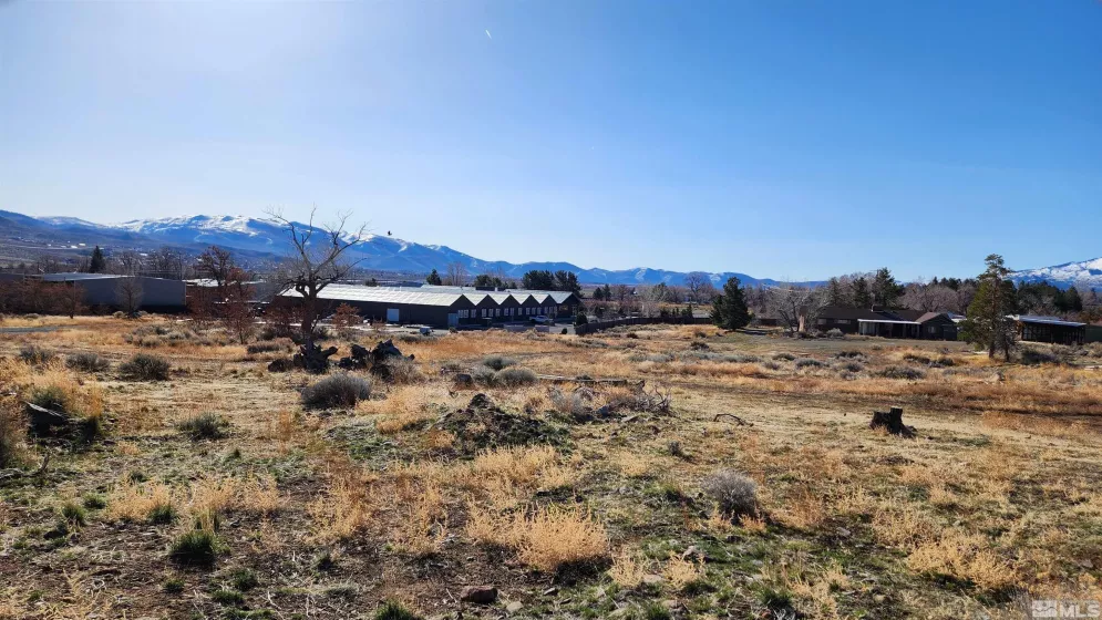 04608053 US Highway 395, Washoe Valley, Nevada 89704, ,Land,For Sale,US Highway 395,240002096