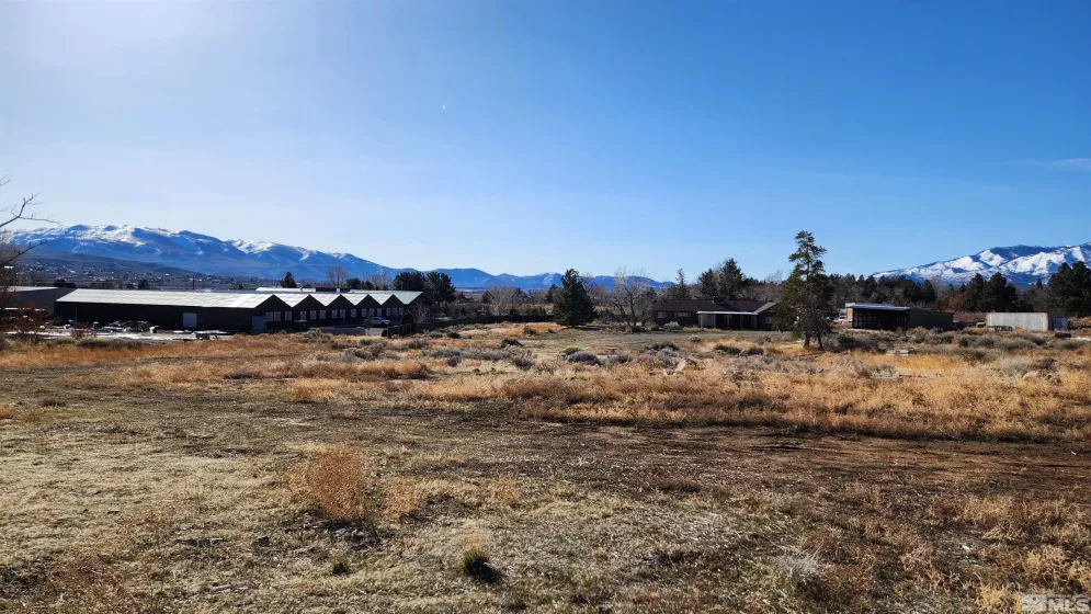 04608053 US Highway 395, Washoe Valley, Nevada 89704, ,Land,For Sale,US Highway 395,240002096