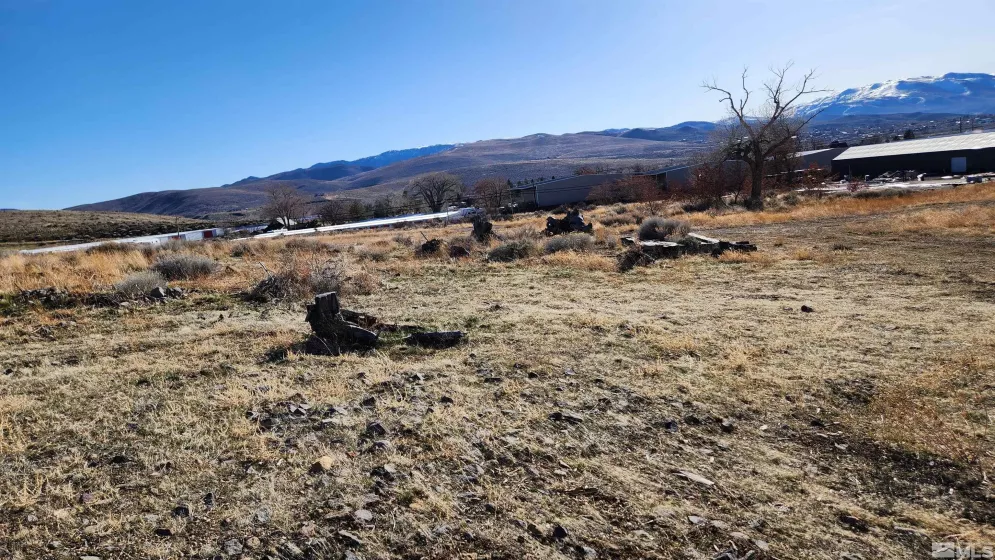 04608053 US Highway 395, Washoe Valley, Nevada 89704, ,Land,For Sale,US Highway 395,240002096