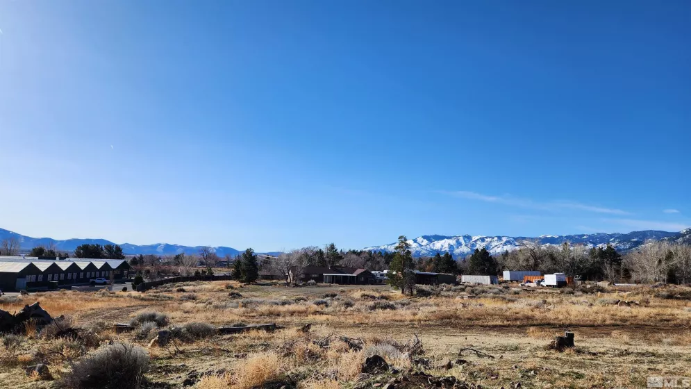 04608053 US Highway 395, Washoe Valley, Nevada 89704, ,Land,For Sale,US Highway 395,240002096