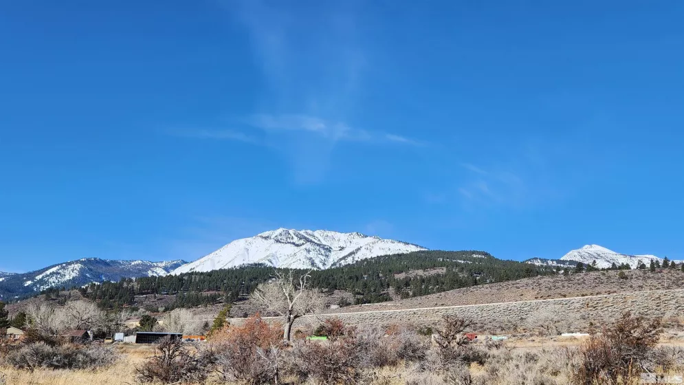 04608053 US Highway 395, Washoe Valley, Nevada 89704, ,Land,For Sale,US Highway 395,240002096