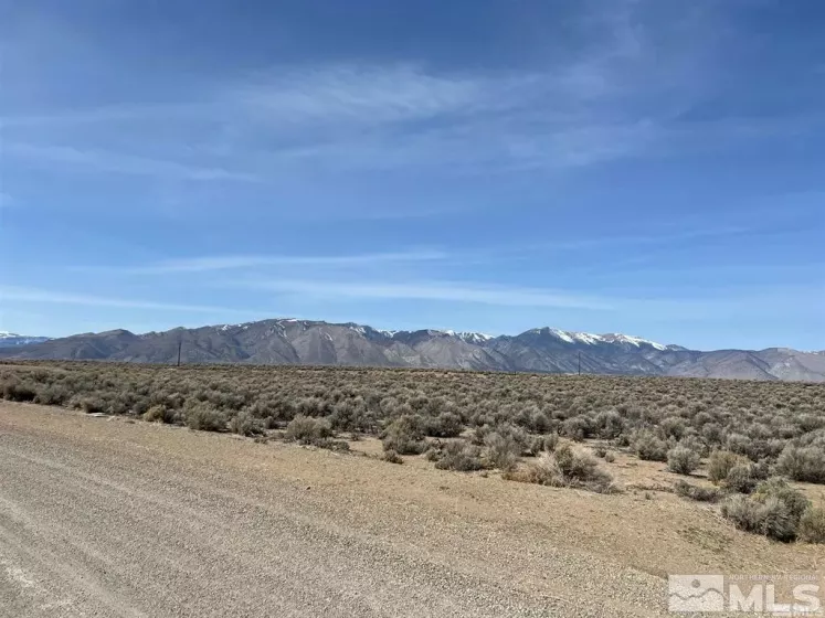 75 Joshua Ct, Smith, Nevada 89430, ,Land,For Sale,Joshua Ct,240010966