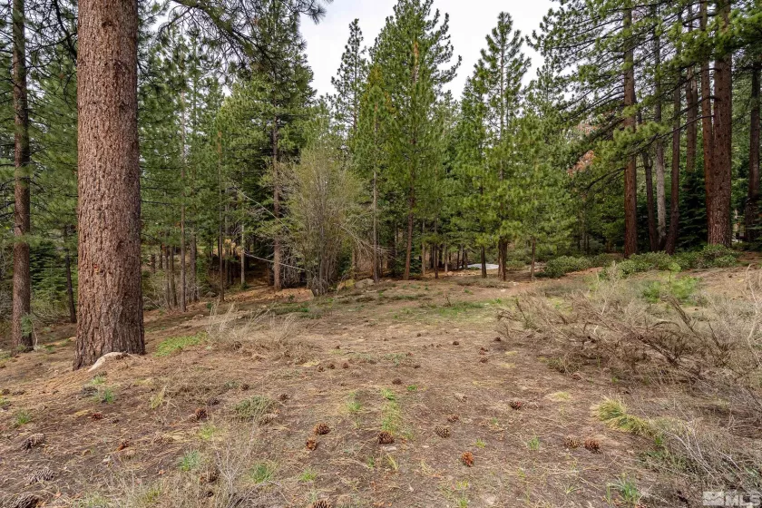 585 Village Blvd, Incline Village, Nevada 89451, ,Land,For Sale,Village Blvd,250003225