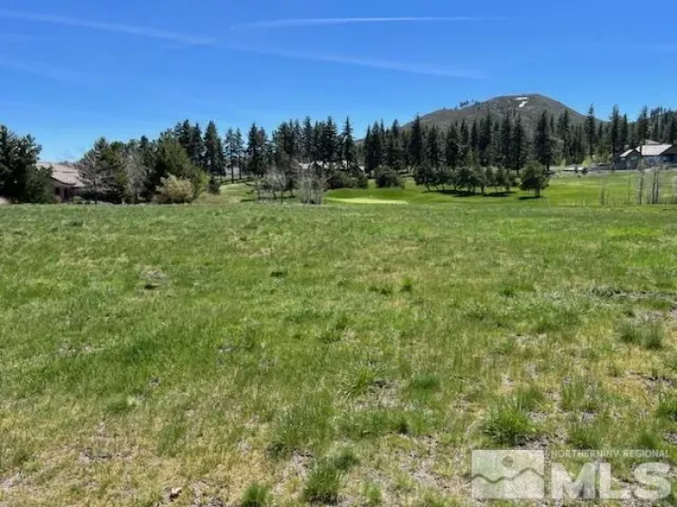 41 Lightning Ranch Road, Washoe Valley, Nevada 89704, ,Land,For Sale,Ranch Road,250003285