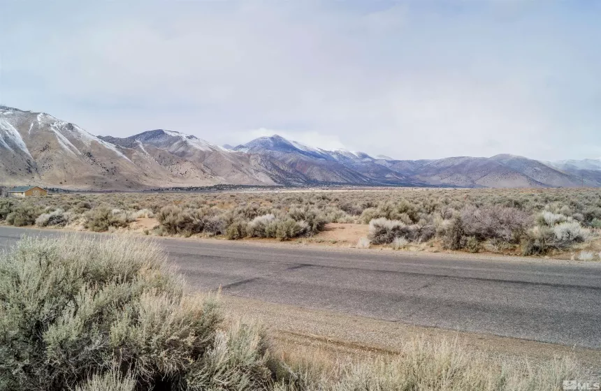 247 Artist View Rd, Wellington, Nevada 89444, ,Land,For Sale,Artist View Rd,250003015