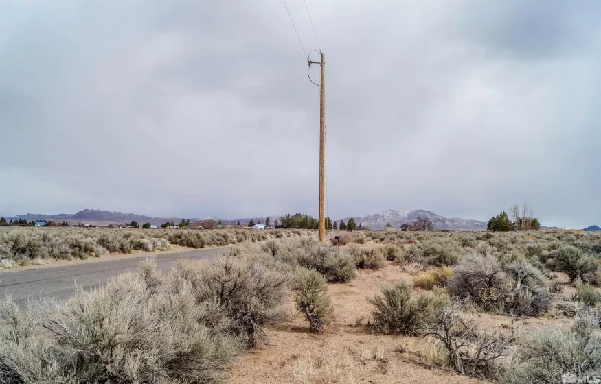 247 Artist View Rd, Wellington, Nevada 89444, ,Land,For Sale,Artist View Rd,250003015