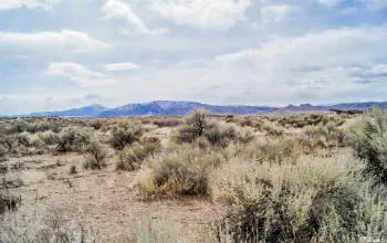 247 Artist View Rd, Wellington, Nevada 89444, ,Land,For Sale,Artist View Rd,250003015