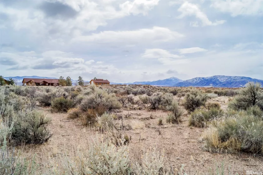 247 Artist View Rd, Wellington, Nevada 89444, ,Land,For Sale,Artist View Rd,250003015