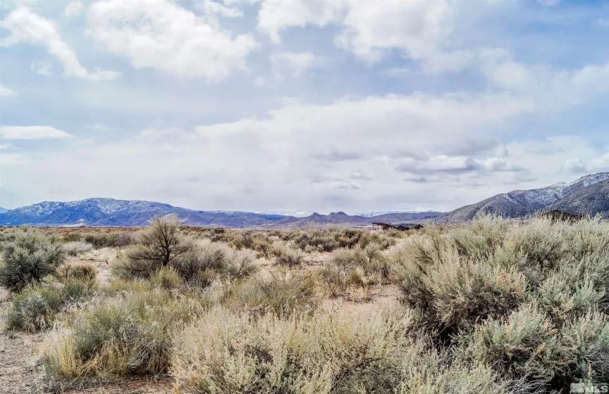 247 Artist View Rd, Wellington, Nevada 89444, ,Land,For Sale,Artist View Rd,250003015