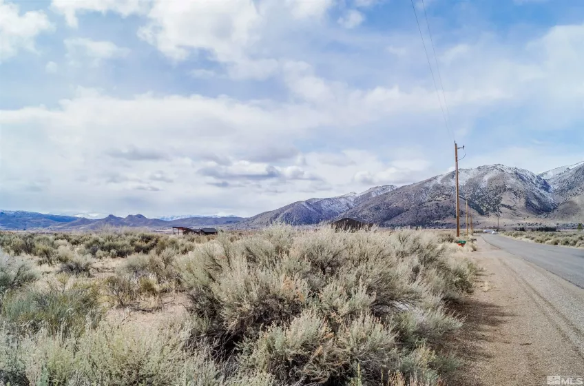 247 Artist View Rd, Wellington, Nevada 89444, ,Land,For Sale,Artist View Rd,250003015