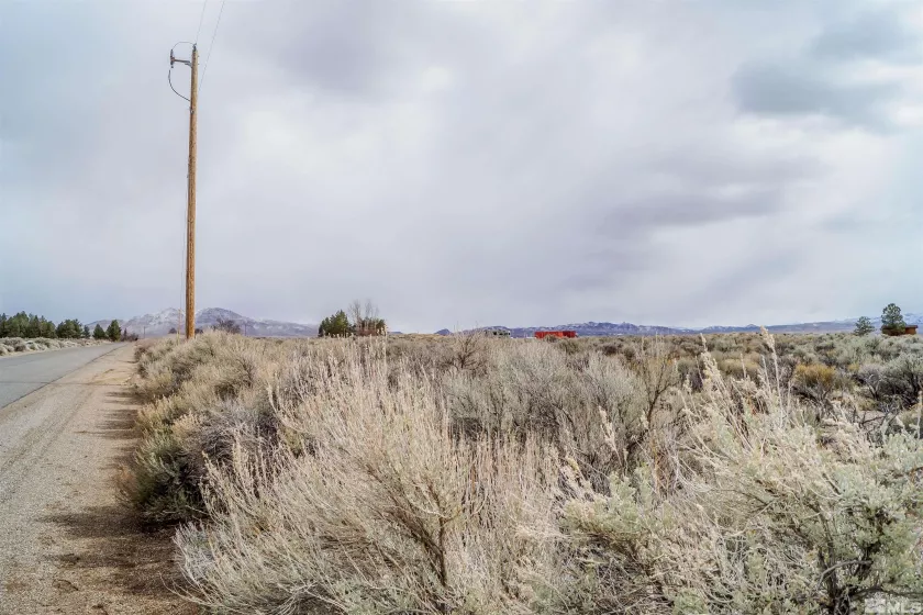 247 Artist View Rd, Wellington, Nevada 89444, ,Land,For Sale,Artist View Rd,250003015