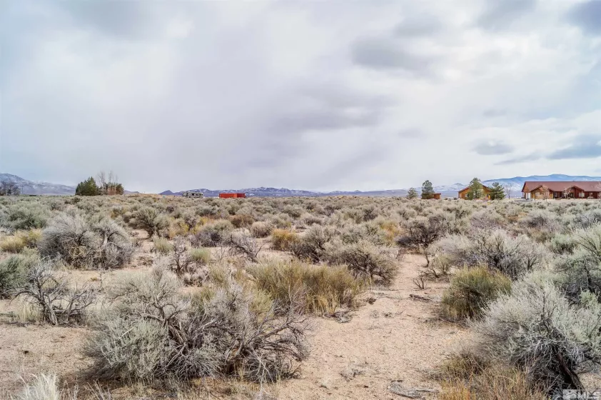 247 Artist View Rd, Wellington, Nevada 89444, ,Land,For Sale,Artist View Rd,250003015