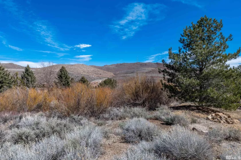 0 Ranchland Circle, Reno, Nevada 89511, ,Land,For Sale,Ranchland Circle,250003306