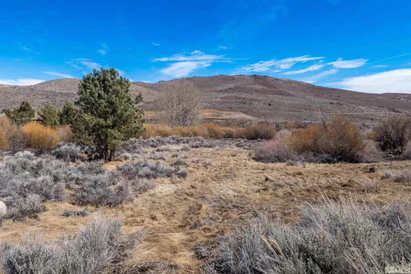 0 Ranchland Circle, Reno, Nevada 89511, ,Land,For Sale,Ranchland Circle,250003306