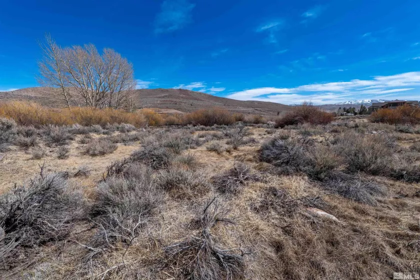 0 Ranchland Circle, Reno, Nevada 89511, ,Land,For Sale,Ranchland Circle,250003306