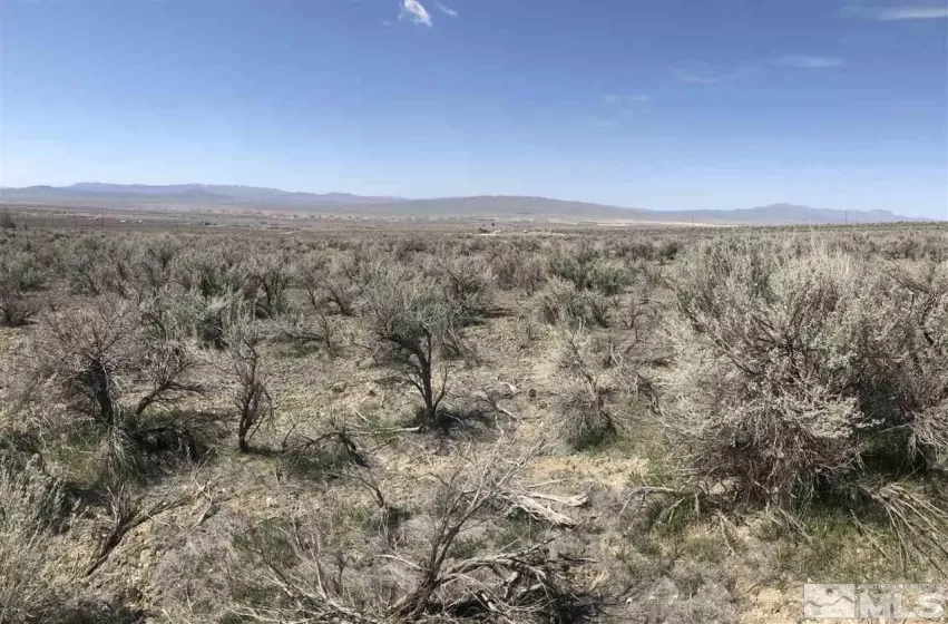 12455 Beaumont Trail, Lovelock, Nevada 89419, ,Land,For Sale,Beaumont Trail,210001495