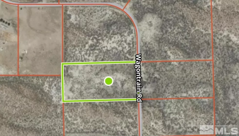 2115 Wagon Train Rd, Lovelock, Nevada 89419, ,Land,For Sale,Wagon Train Rd,250003327